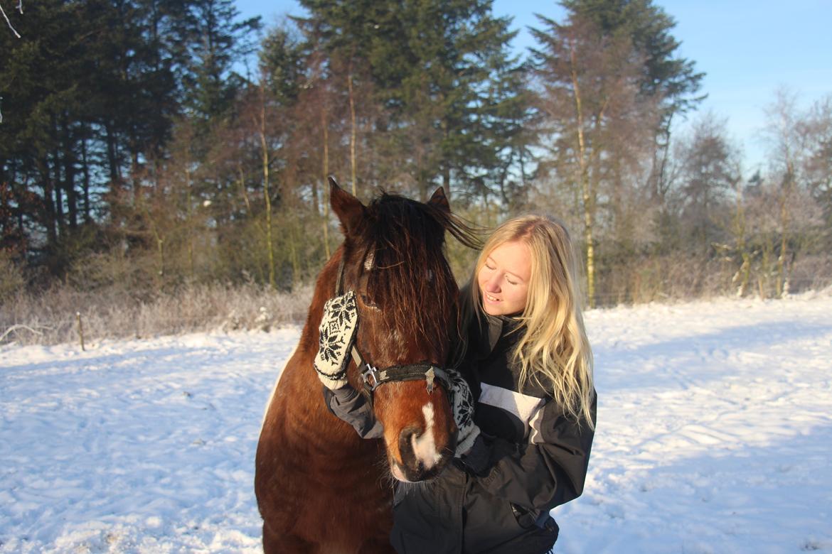 Pinto Rugholms Fire billede 3