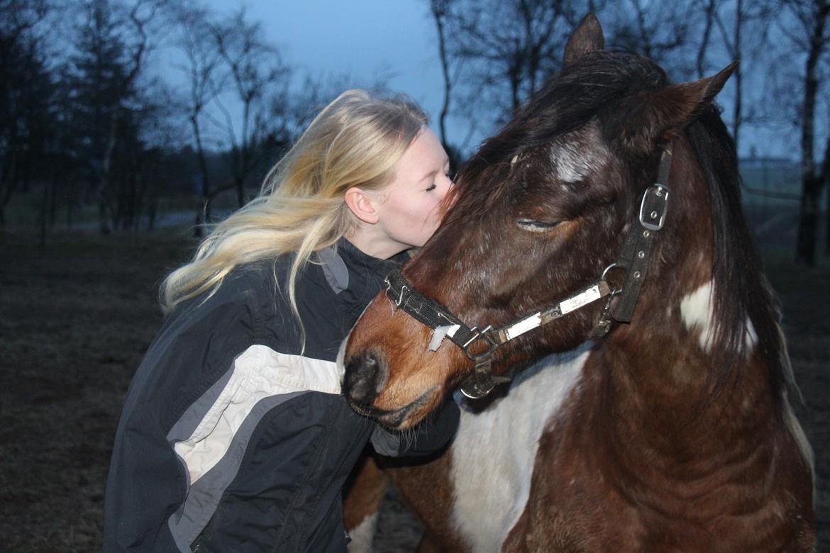 Pinto Rugholms Fire billede 1