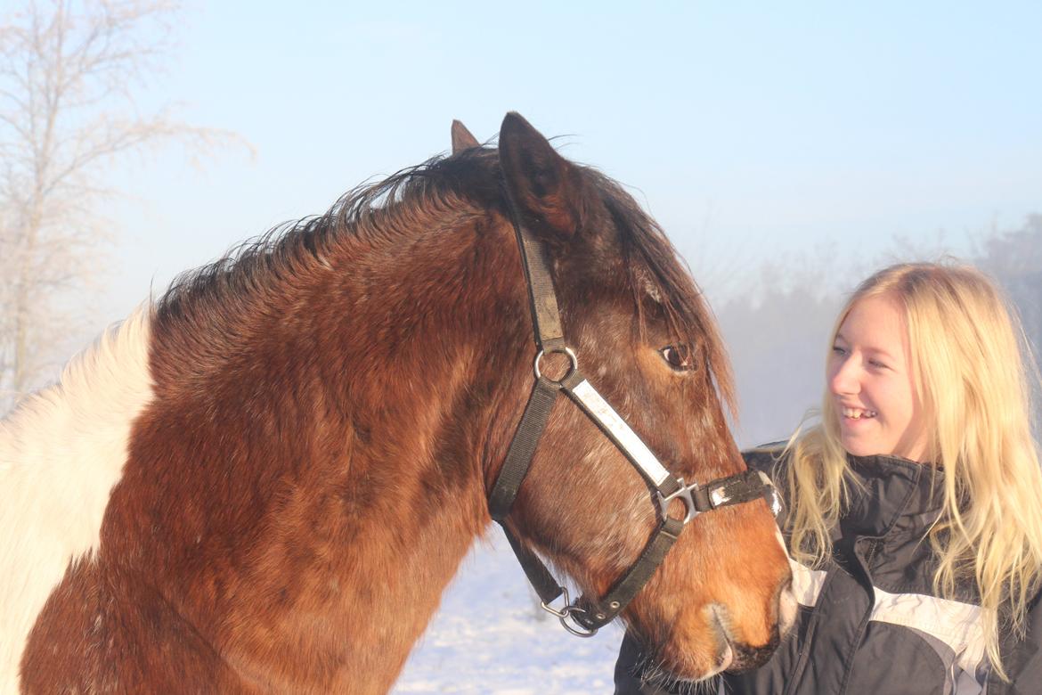 Pinto Rugholms Fire billede 11