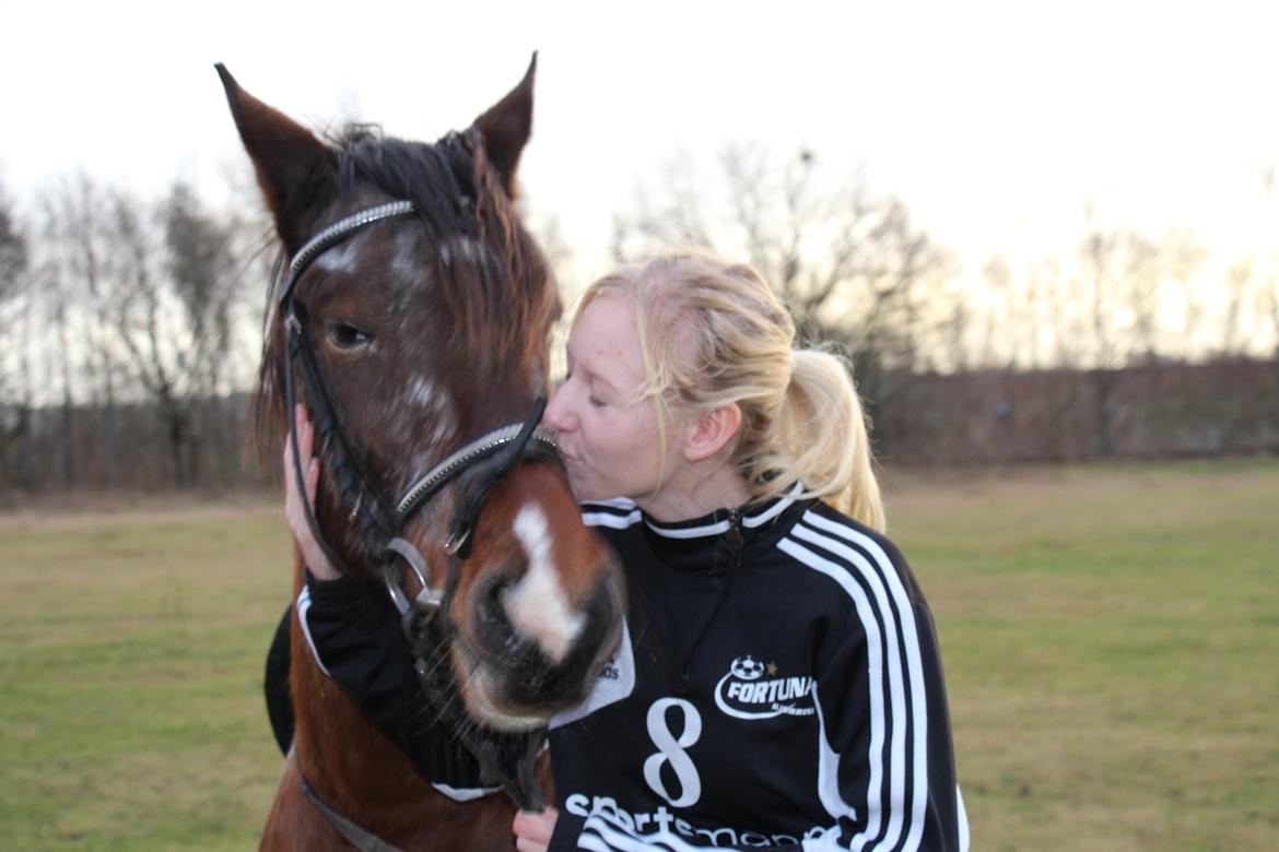 Pinto Rugholms Fire billede 14