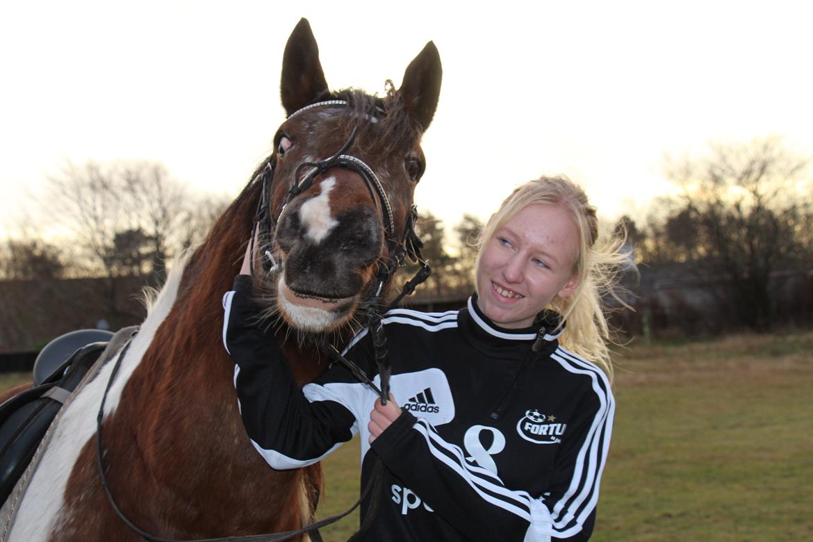 Pinto Rugholms Fire billede 13