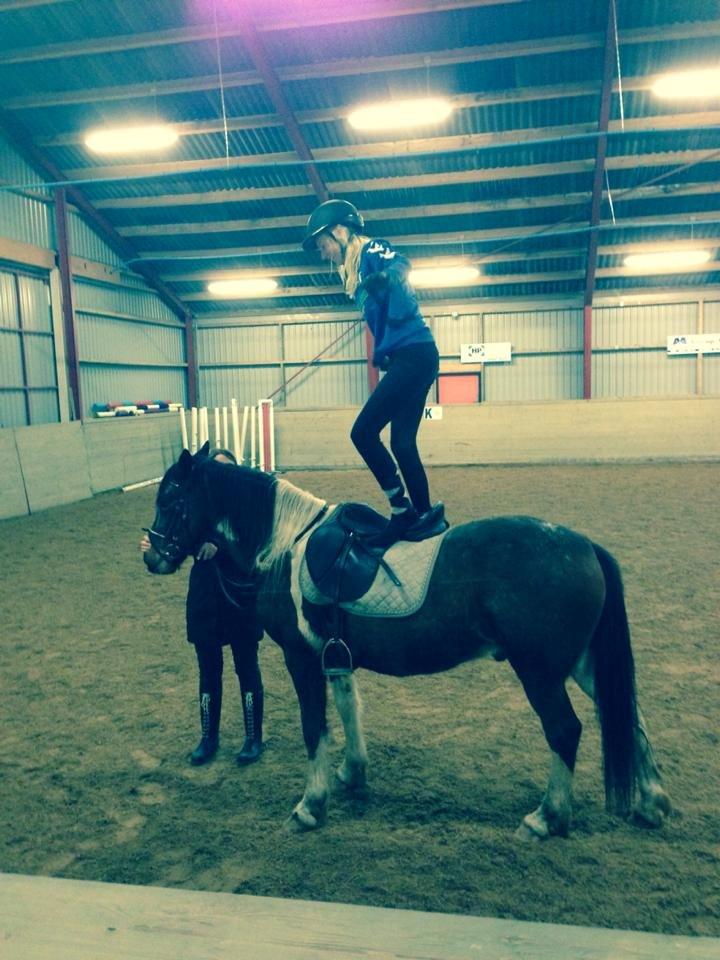 Pinto Rugholms Fire billede 15