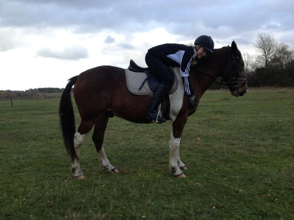 Pinto Rugholms Fire billede 16