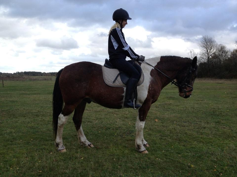 Pinto Rugholms Fire billede 17