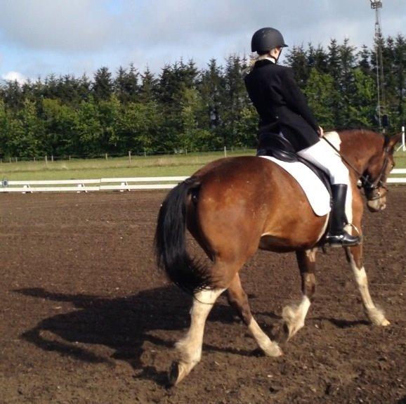 Pinto Rugholms Fire billede 18