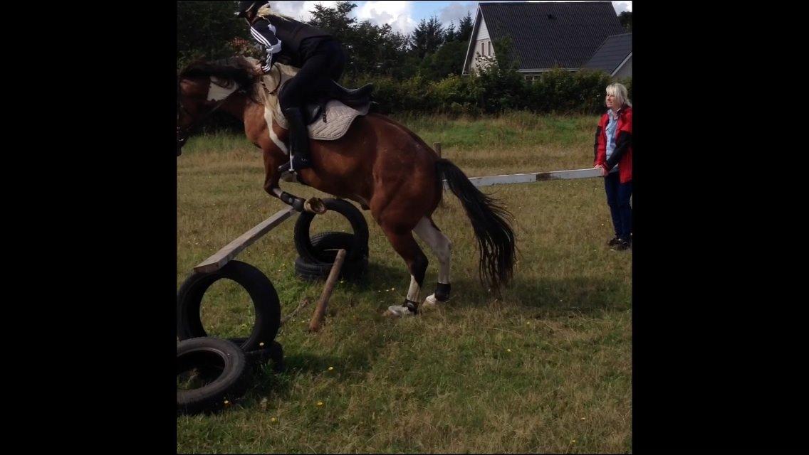 Pinto Rugholms Fire billede 19