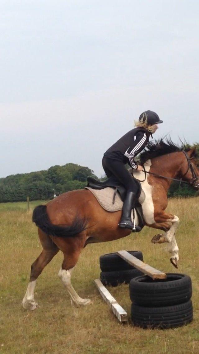 Pinto Rugholms Fire billede 20