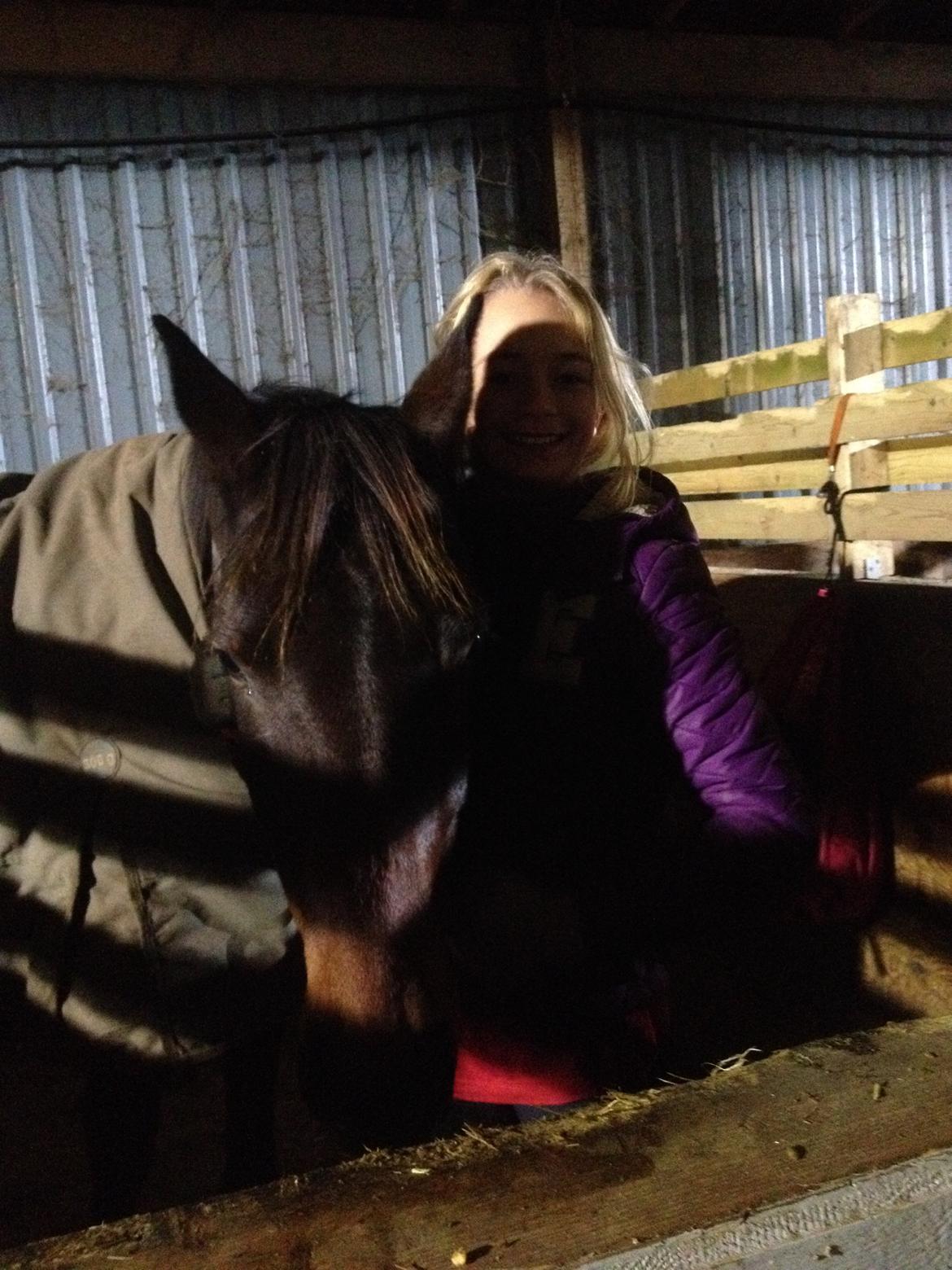 Oldenborg Tiedemanns Duchess billede 3