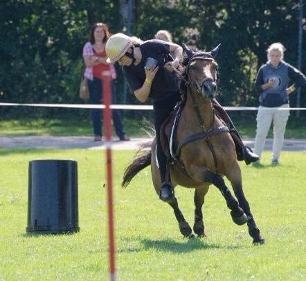 Hollandsk Sportspony Jasmijn billede 42