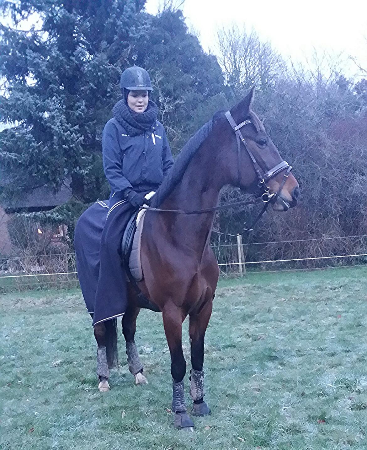 Traver Ofelia tandal billede 24