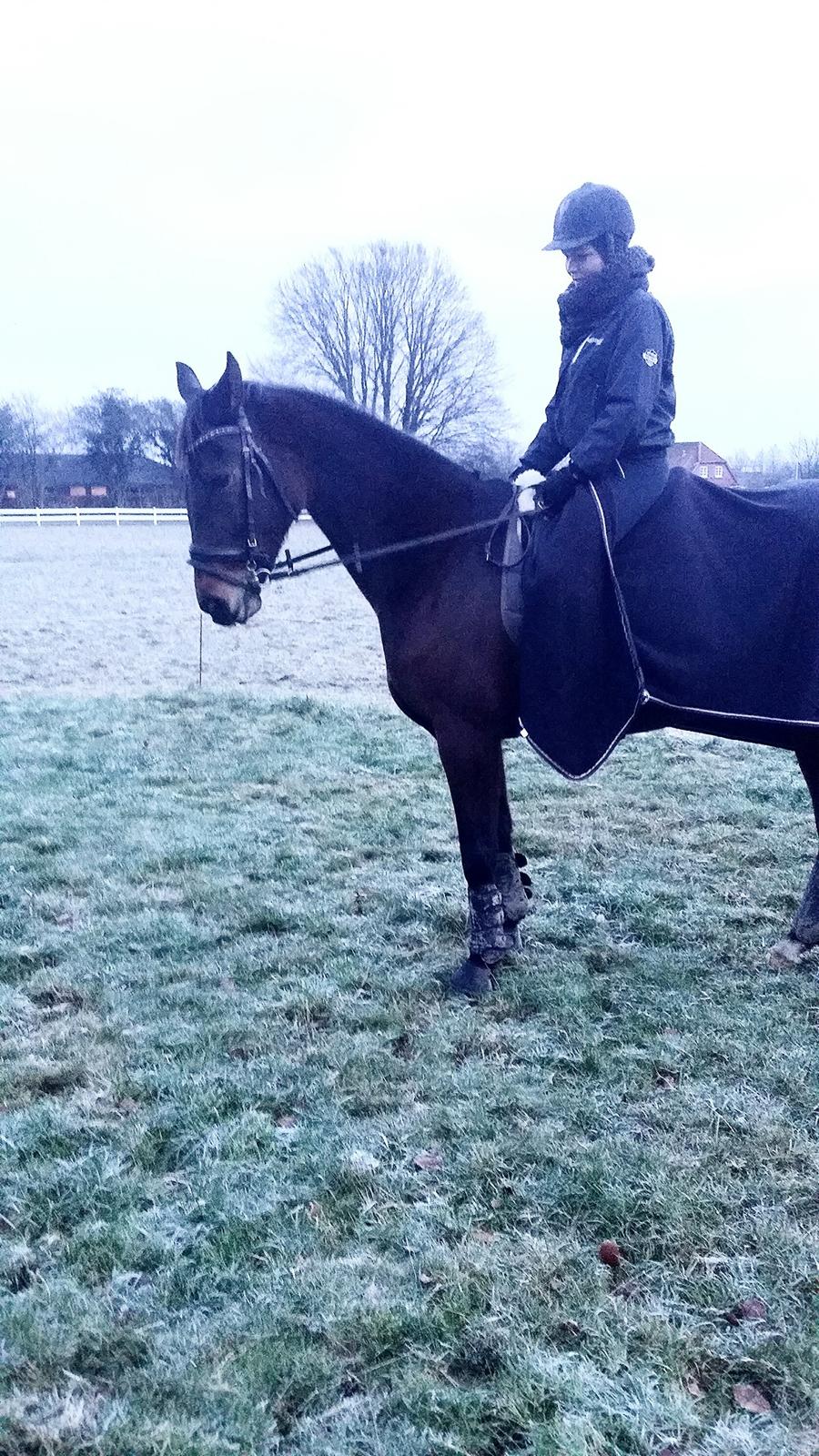 Traver Ofelia tandal billede 25