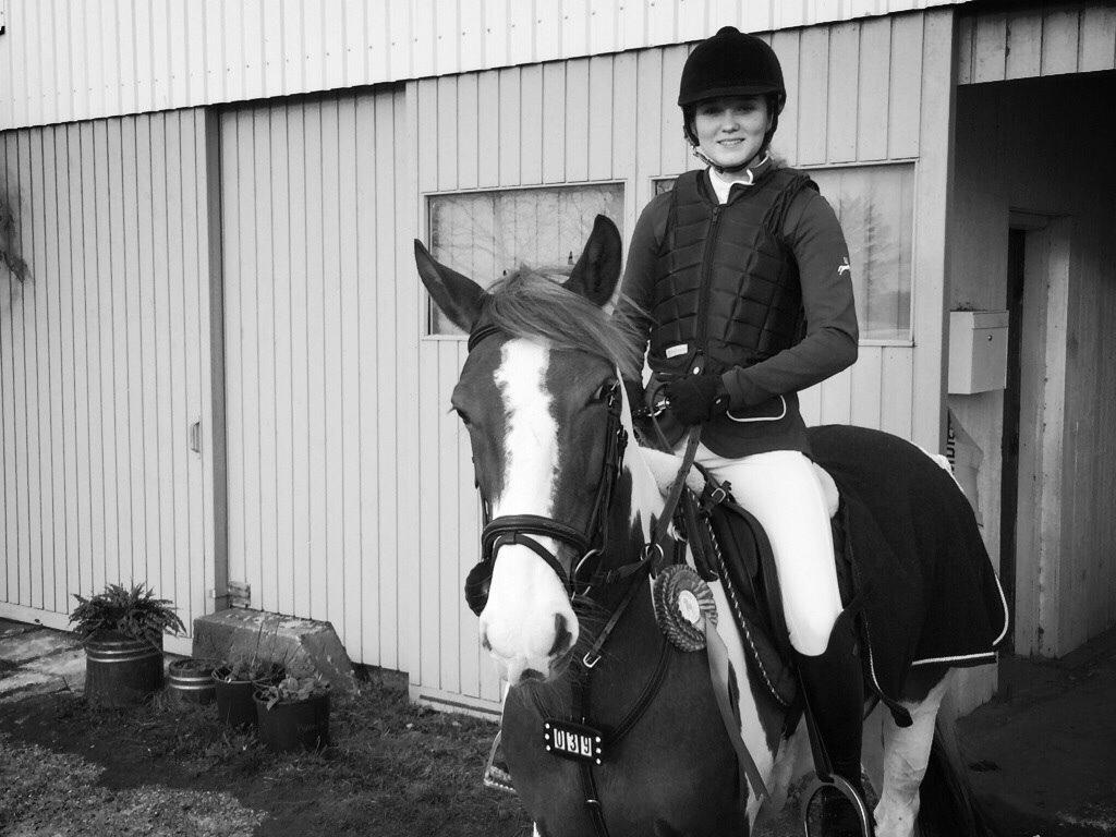 Hollandsk Sportspony Monique (For sale) billede 2