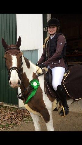 Hollandsk Sportspony Monique (For sale) billede 5