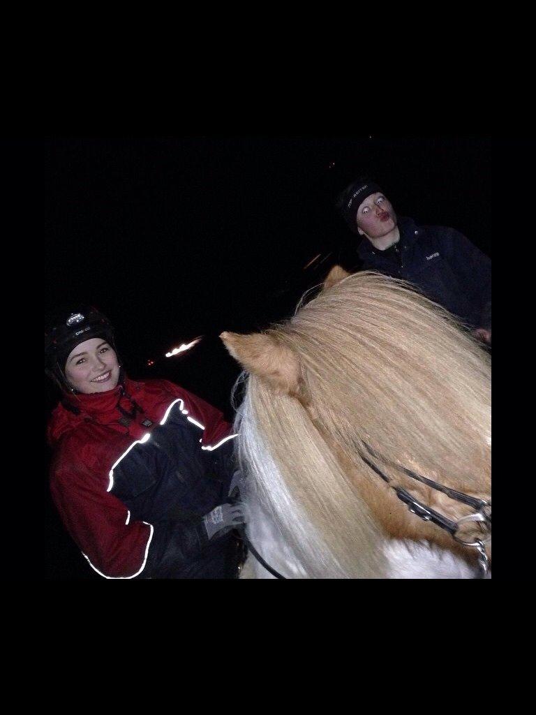 Islænder Háreki frá Marknaragili billede 5