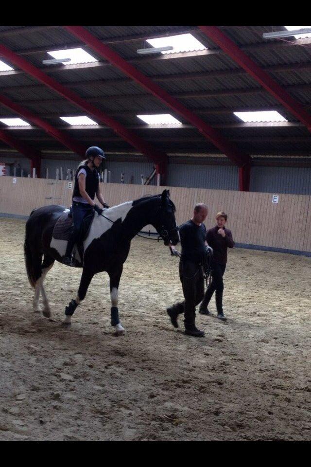 Pinto Karano billede 18