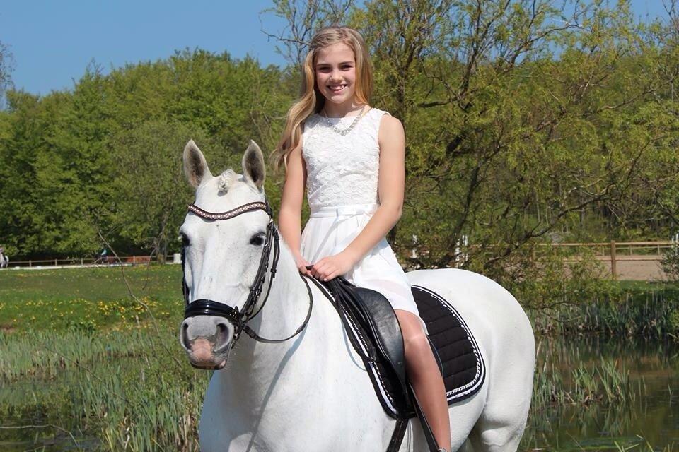 Hollandsk Sportspony Powergirl A-PONY billede 2