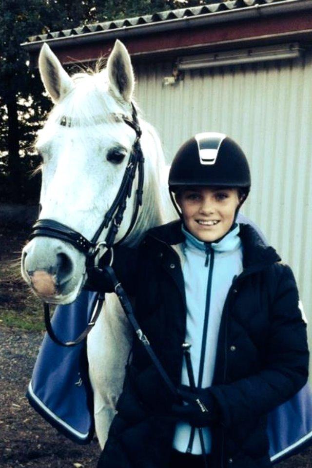 Hollandsk Sportspony Powergirl A-PONY billede 10