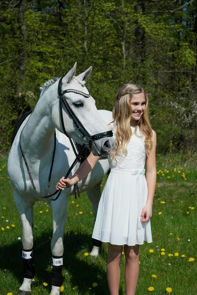 Hollandsk Sportspony Powergirl A-PONY billede 5