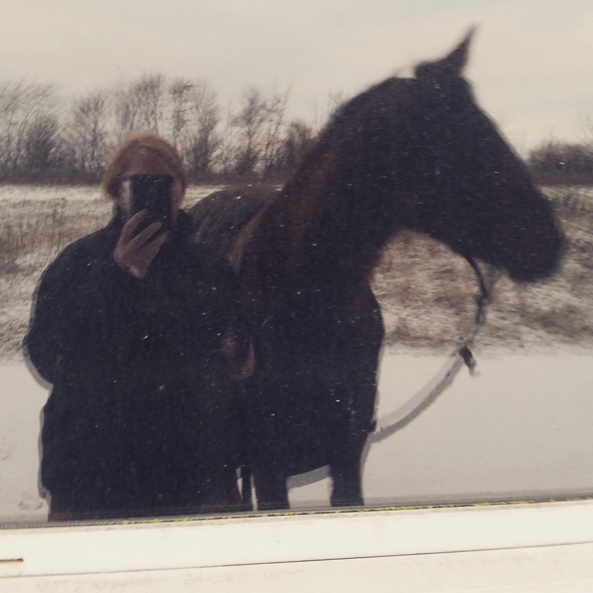 Anden særlig race Sofus billede 1