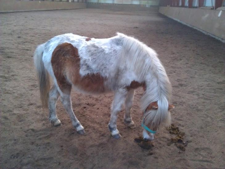 {{currentPhoto.altText}} billede {{currentPhoto.number}}