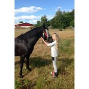 New Forest Katriné (VERDENS BEDSTE)