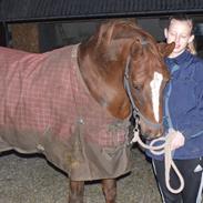 Anden særlig race Ahorns Kira <3