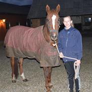 Anden særlig race Ahorns Kira <3