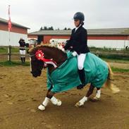 Anden særlig race Baldur