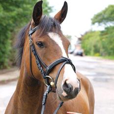 DSP Lundgaards Friday