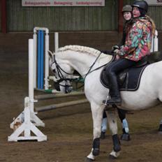 Anden særlig race Vsr Moonjam