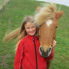 Islænder Dimmalimm fra Teland 