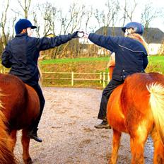 Islænder Dimmalimm fra Teland 