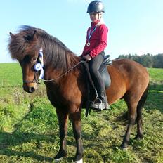 Islænder Andi fra Skyggefaxe