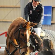 Tysk Oldenburger Bladsgaards Windy Sky