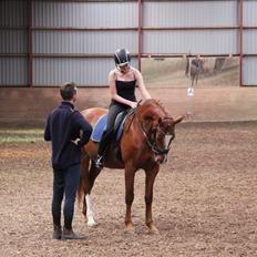 Frederiksborg Østervangs Fleur De Lis