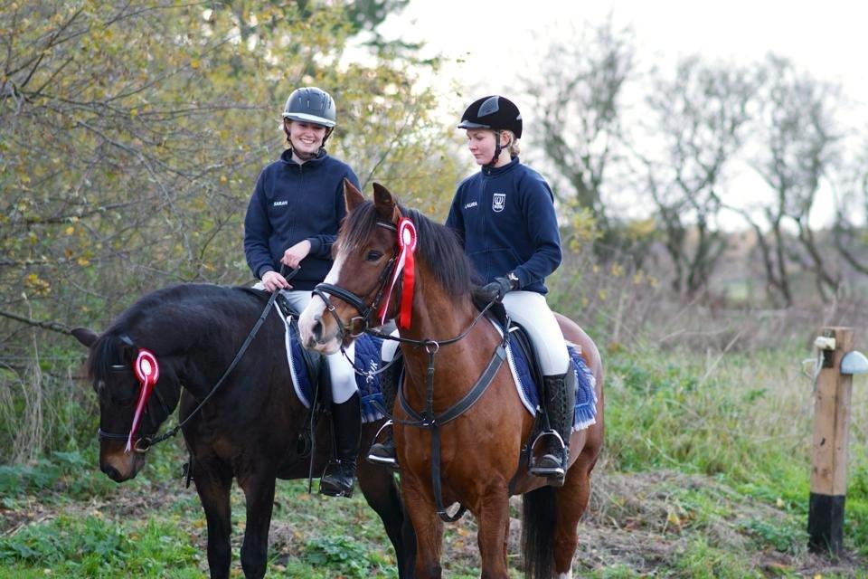 Anden særlig race Allmoust Luksus - 1 plads i par-ponygames billede 16