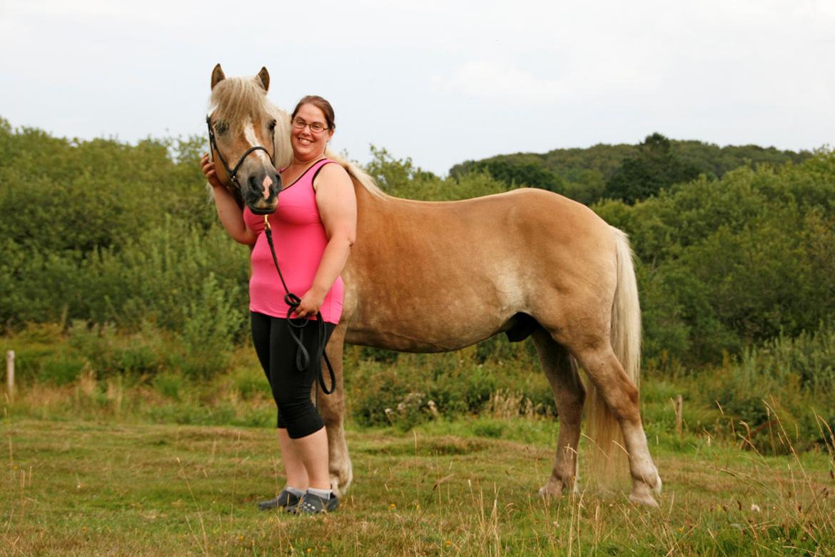 Tyroler Haflinger Notabene Lundgaard - Nullers 22 års fødselsdag d. 4/8 2014 billede 19