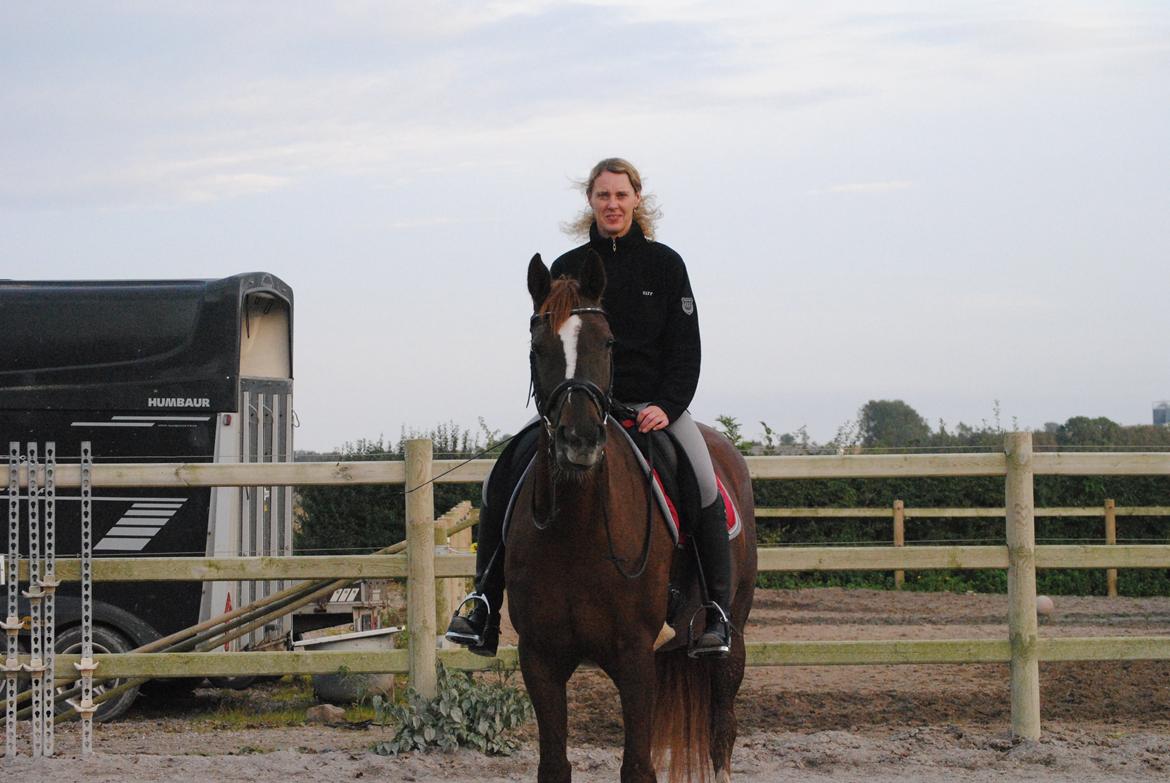 Dansk Varmblod Decanesse billede 3