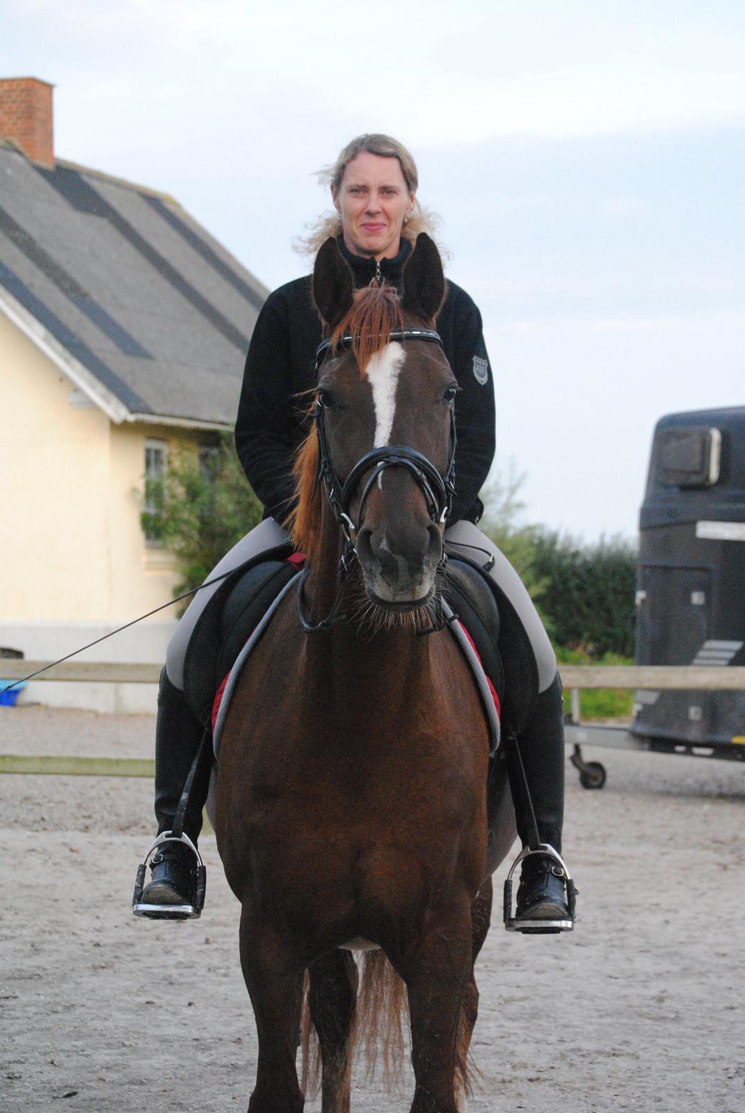 Dansk Varmblod Decanesse billede 4