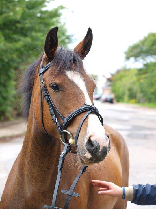 DSP Lundgaards Friday - Velkommen til Fridays profil :-) billede 1