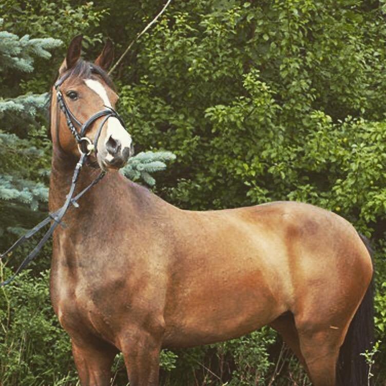 DSP Lundgaards Friday billede 4