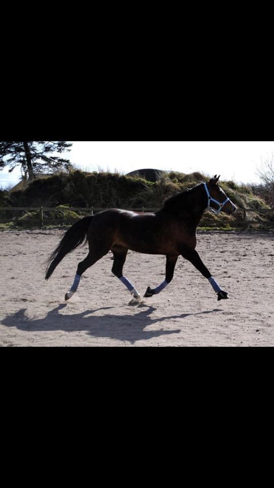 DSP Lundgaards Friday billede 10