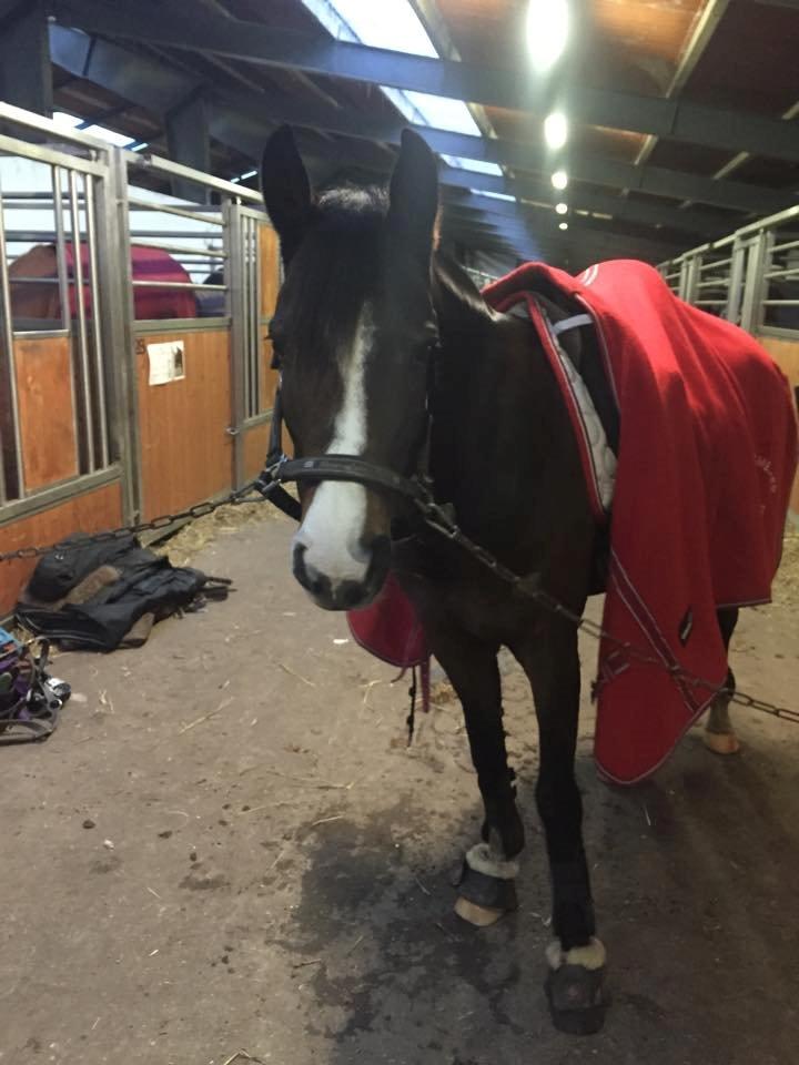 DSP Lundgaards Friday billede 9