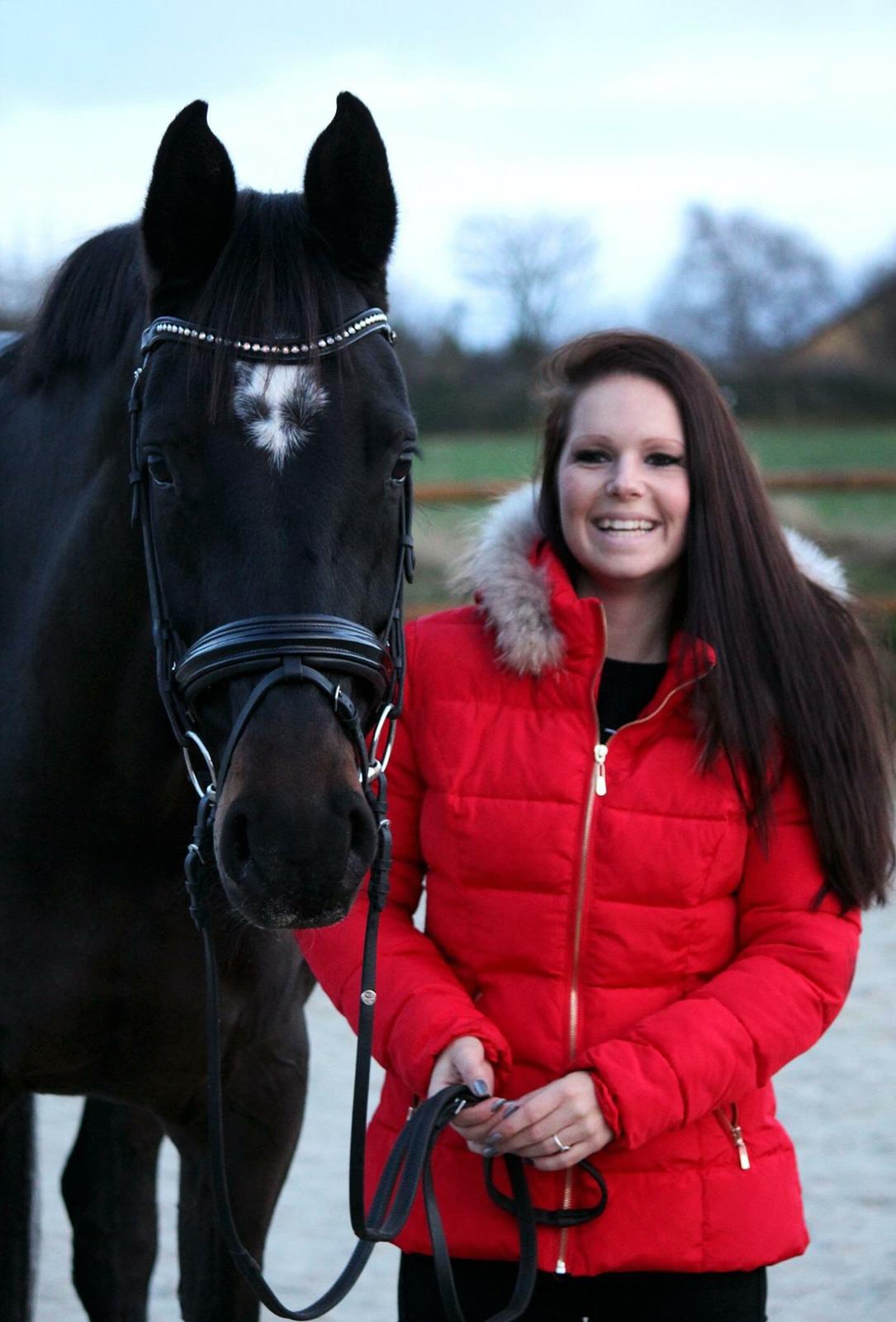 Dansk Varmblod Pinvigs Cha Cha billede 31