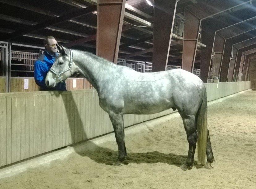 Dansk Varmblod Lotus Esprit W *SOLGT* - Lotus og min mand, 1 Januar 2015 <3 billede 27