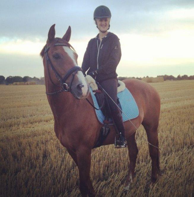 Anglo Araber (AA) R-Tex Pebbles Oscar billede 11