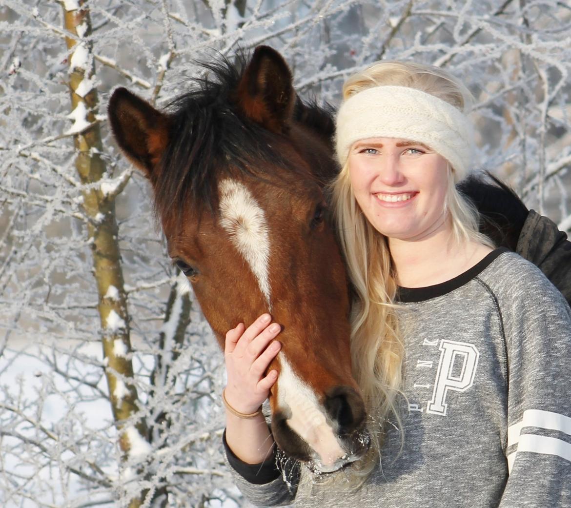 Anden særlig race Shah Little Miss May billede 4