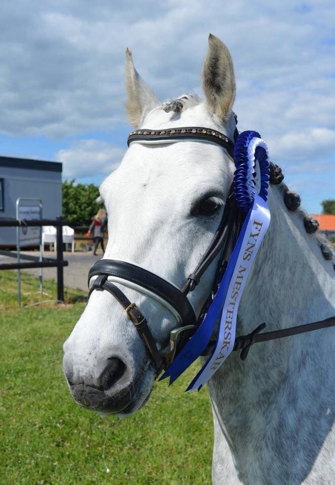 DSP Jean Le'Penn A PONY  billede 7
