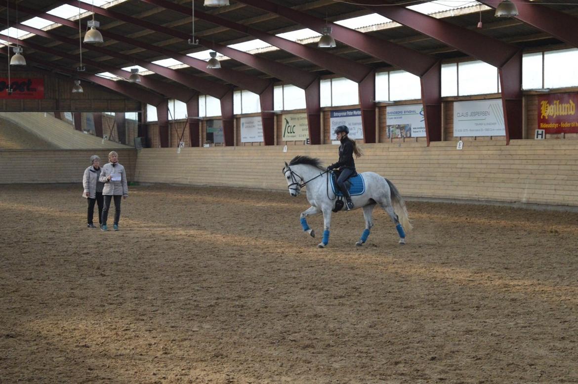 DSP Jean Le'Penn A PONY  billede 11