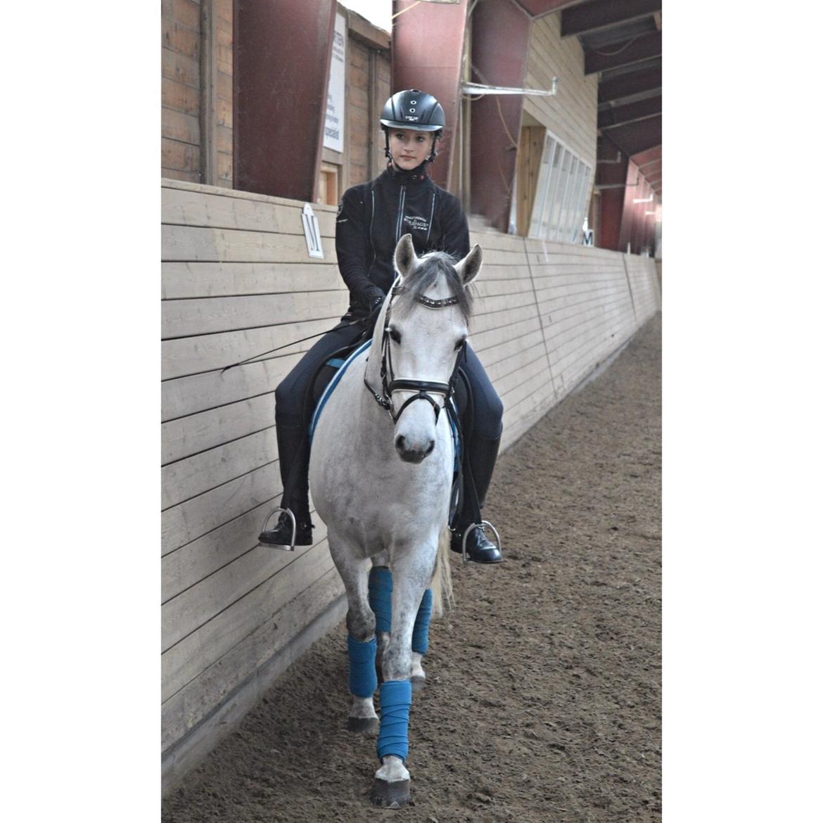DSP Jean Le'Penn A PONY  billede 12